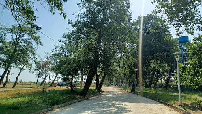 ساحل میرود